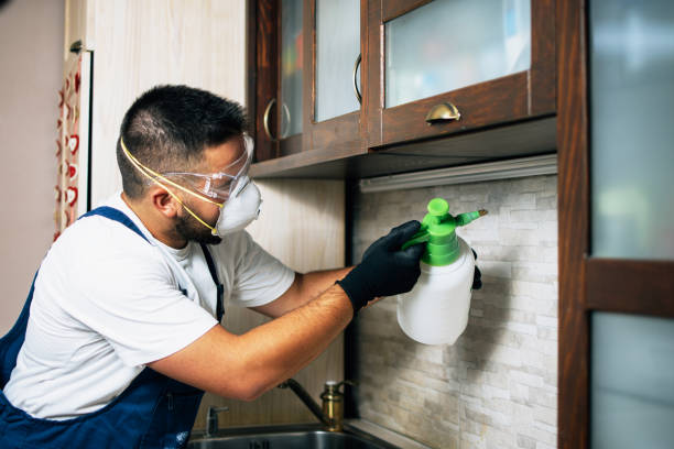 Reliable Appalachia, VA Pest Control Solutions