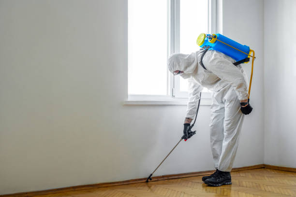 Best Exterminator Services  in Appalachia, VA