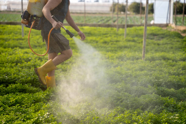 Best Mosquito Control Services  in Appalachia, VA