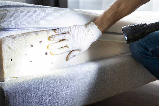 Best Affordable Pest Control Services  in Appalachia, VA