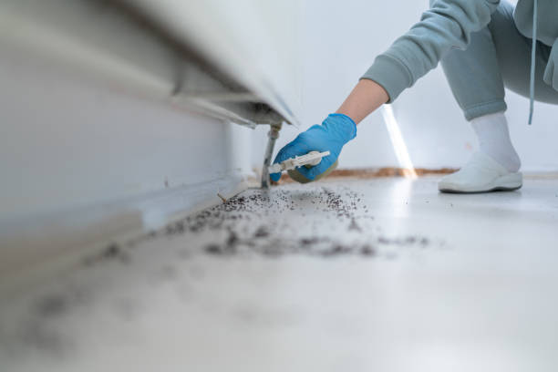Best Pest Inspection Near Me  in Appalachia, VA